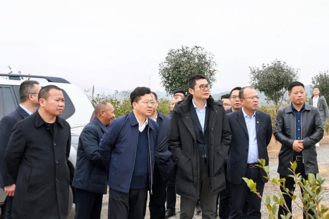 中国银行湖南省分行考察调研新邵乡村振兴工作(图1)