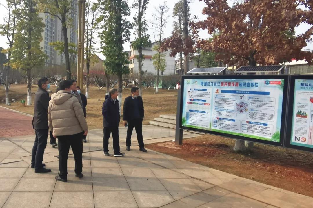新邵顺利通过省级慢性病综合防控示范区建设技术评估(图2)