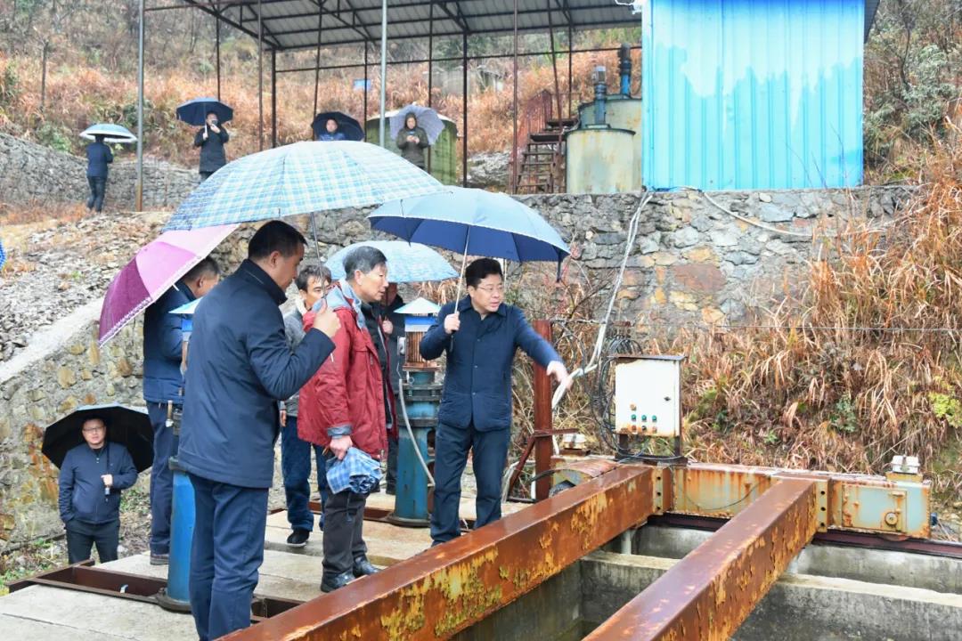 贺朝晖督导生态环境问题整改工作(图1)