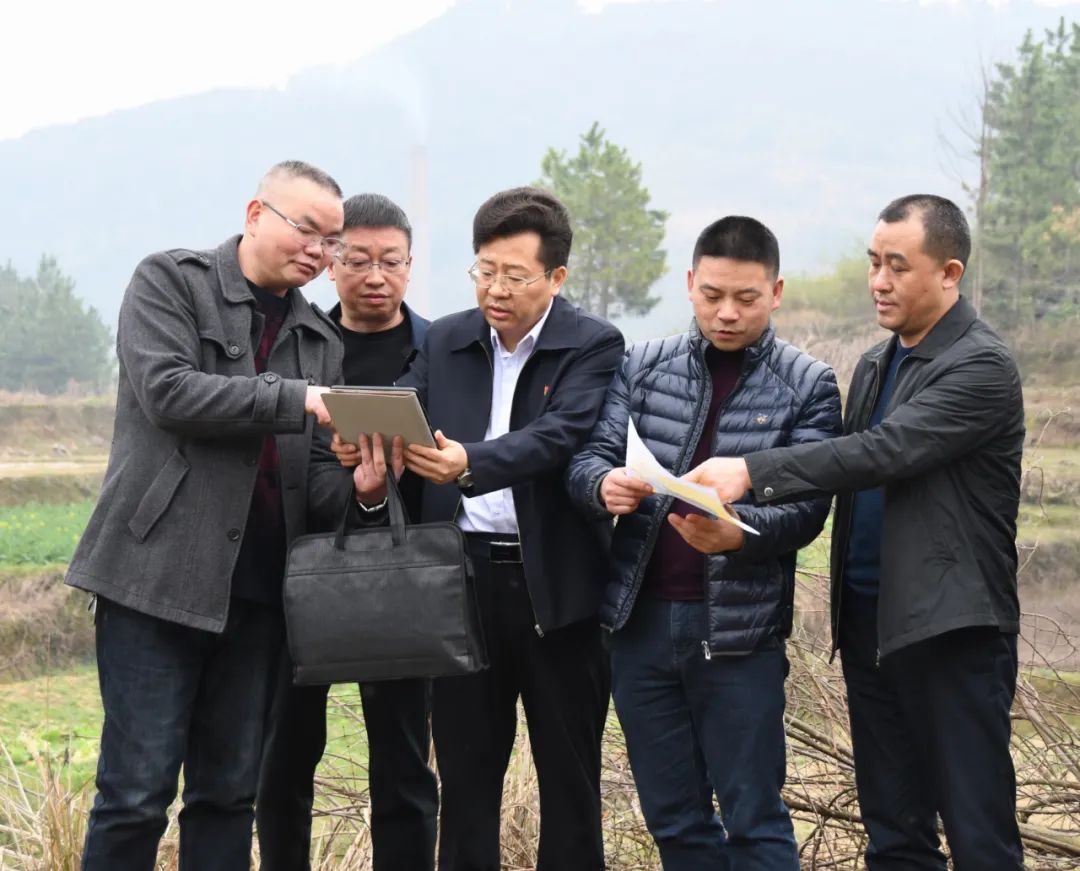 贺朝晖调研污水处理厂和垃圾焚烧发电项目建设(图1)