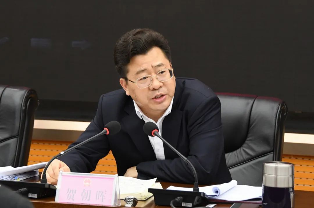 贺朝晖主持召开2022年第9次政府常务会(图2)