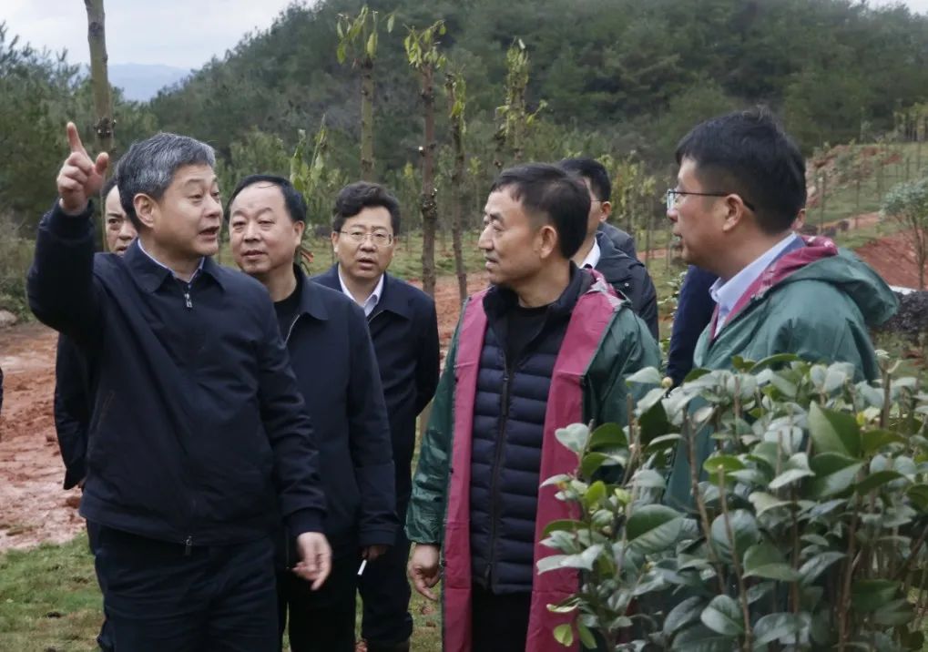 严华在新邵县调研：高站位推进生态环境保护(图2)