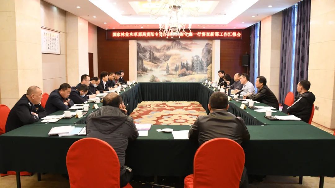 国家林草局贵阳专员办到新邵开展涉林问题整改督察(图1)