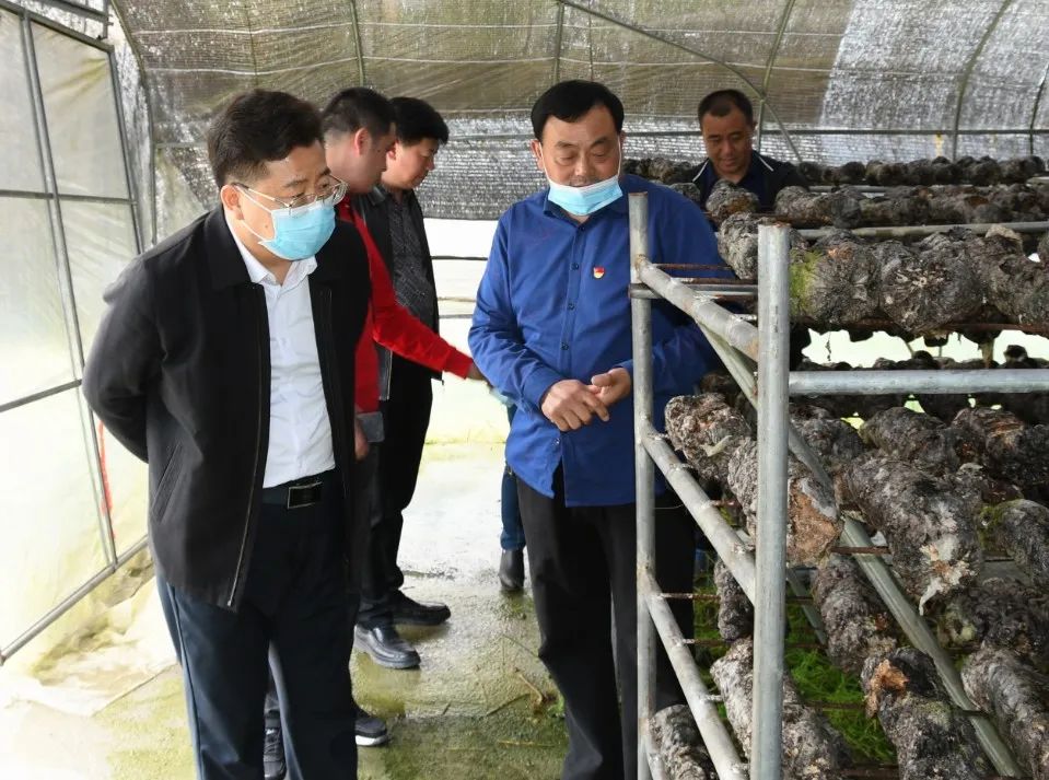 贺朝晖调研督导生态环境问题整改和基层治理重点工作(图2)