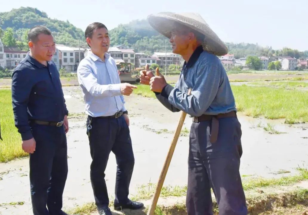 陈历贤调研新邵县农村人居环境整治及粮食生产工作(图4)