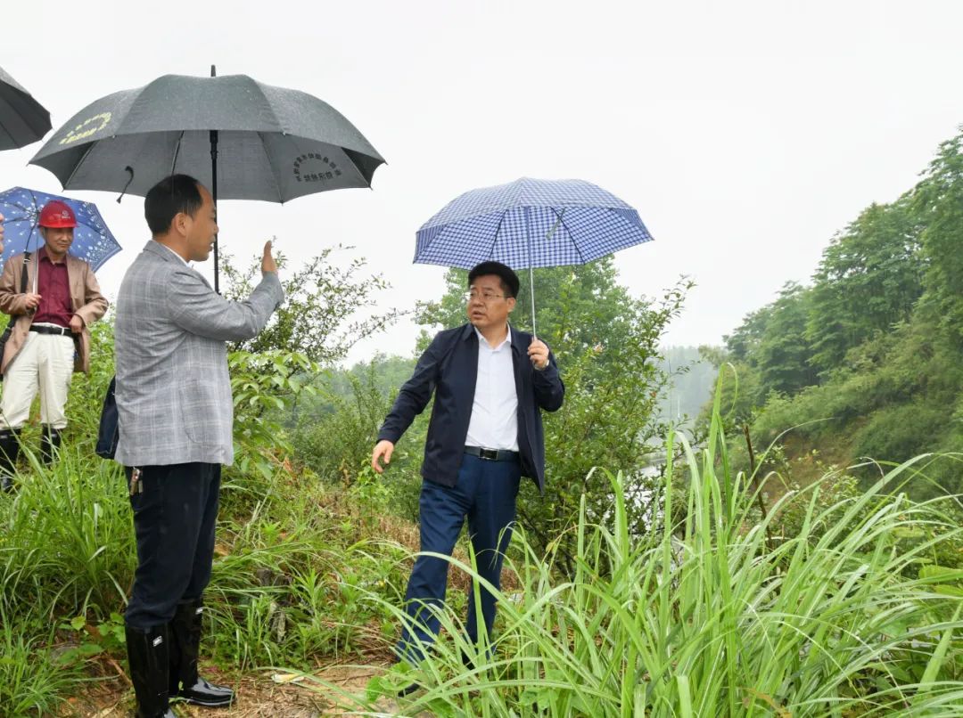 贺朝晖调研督导重点防洪工程建设(图3)