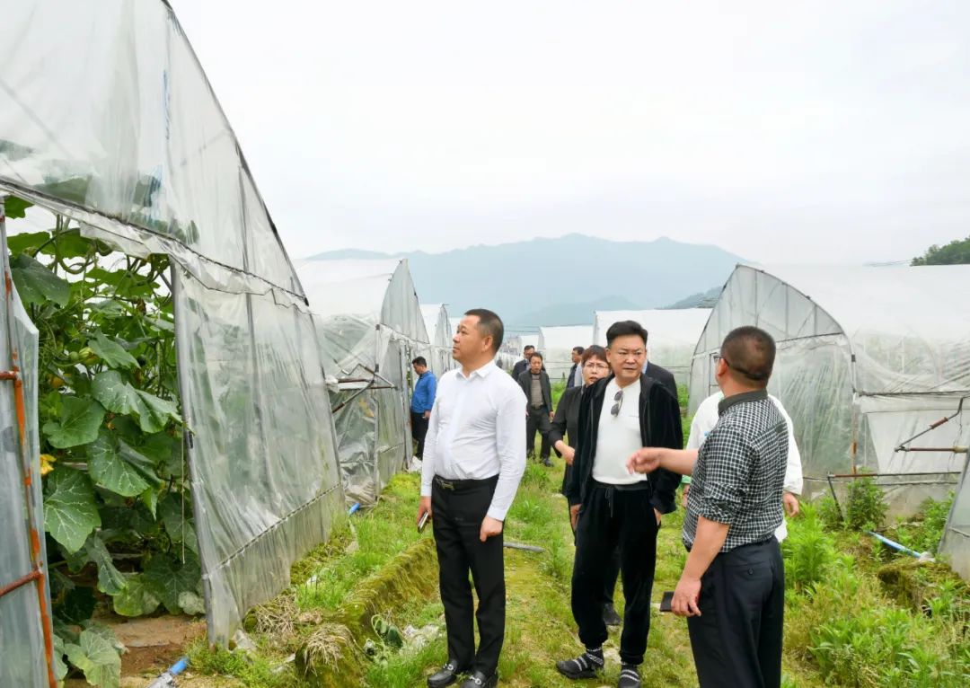 深圳两家企业来新邵考察洽谈(图3)