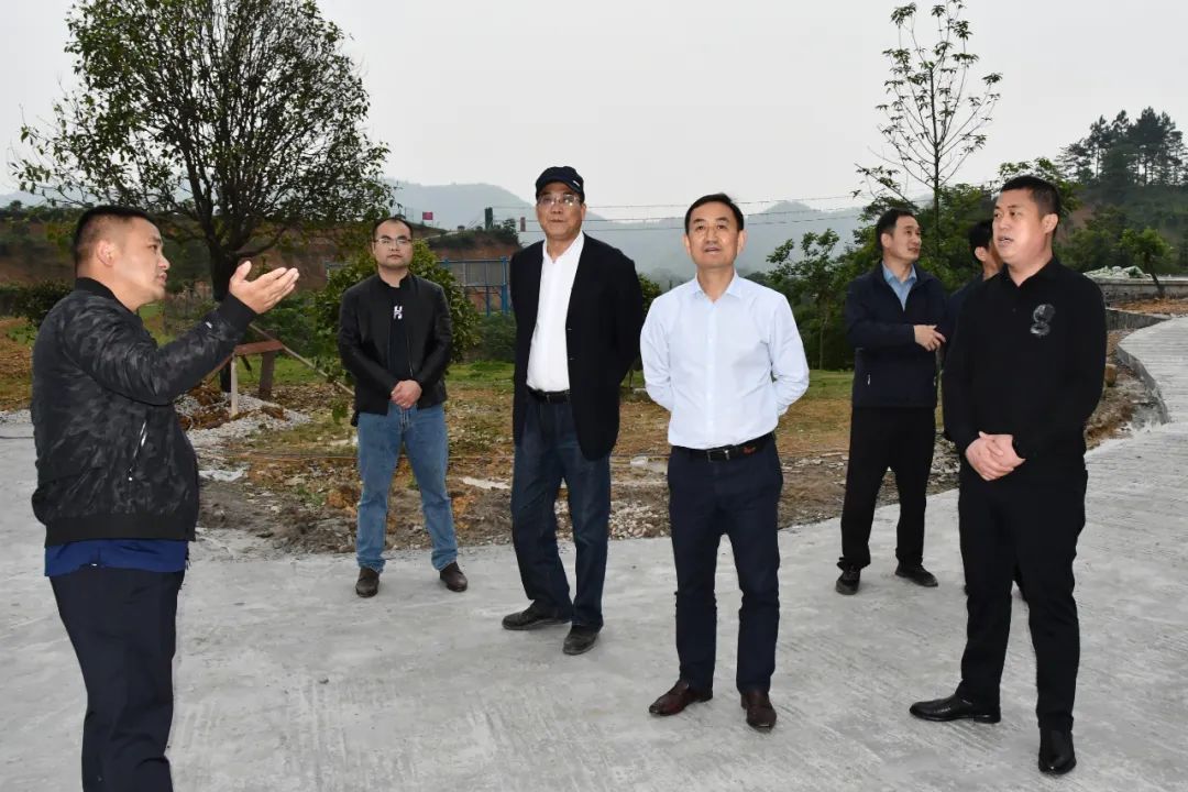 陈历贤实地调研乡村振兴工作(图2)