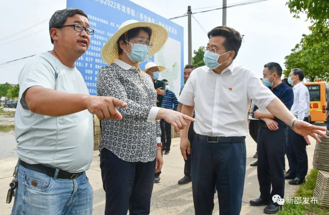 周迎春调研新邵粮食生产和耕地抛荒治理工作(图2)