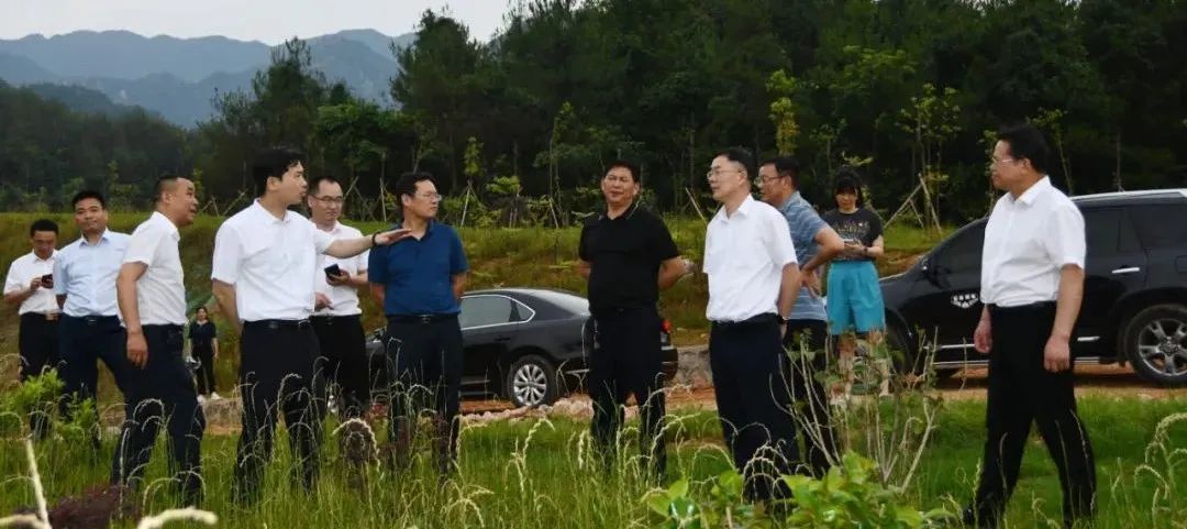 新邵生态环境突出问题整改工作进展如何？省自然资源厅前来督导(图1)