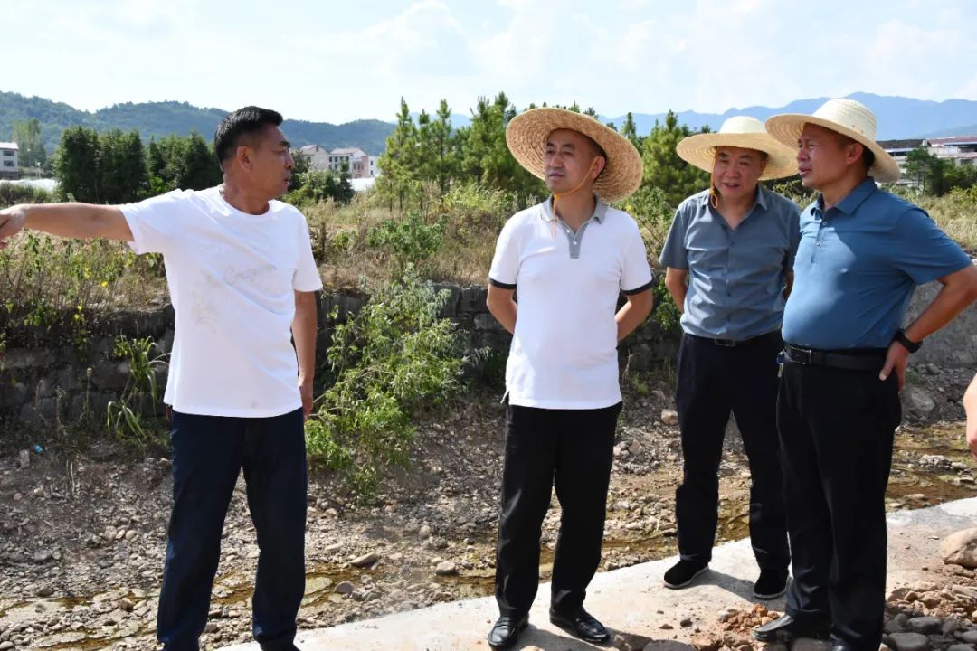 全力以赴抗旱 新邵县领导下沉一线督导(图3)