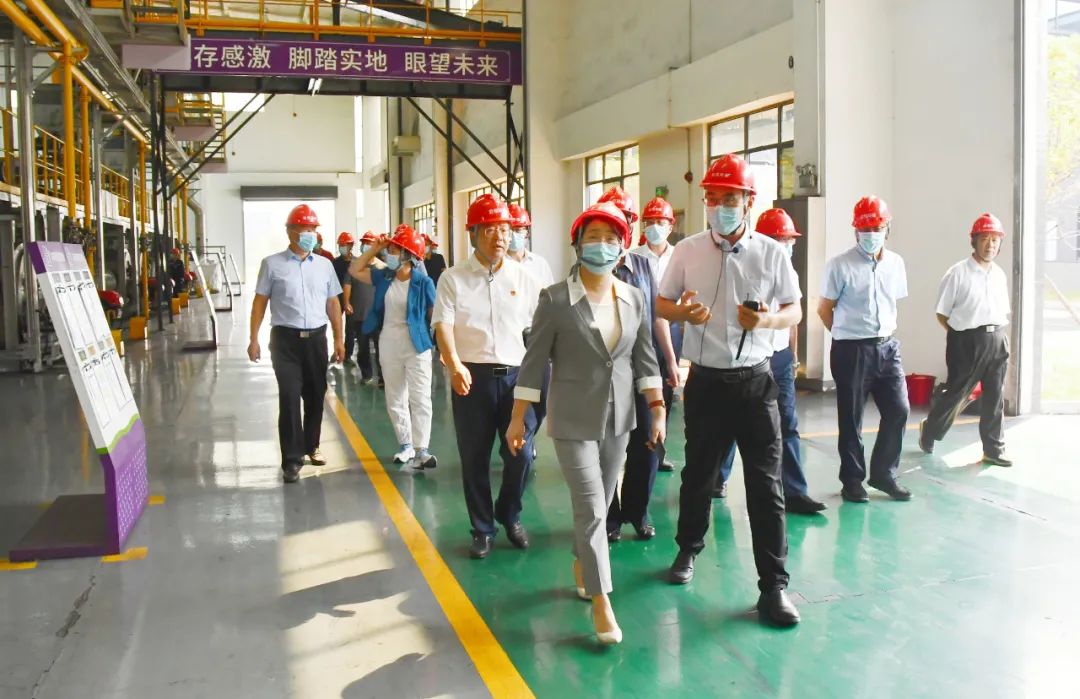 在邵国省市人大代表来新邵开展专题调研(图2)