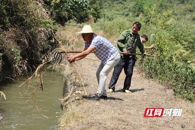 今天，两家省级媒体对新邵抗旱典型做法作了推介(图5)