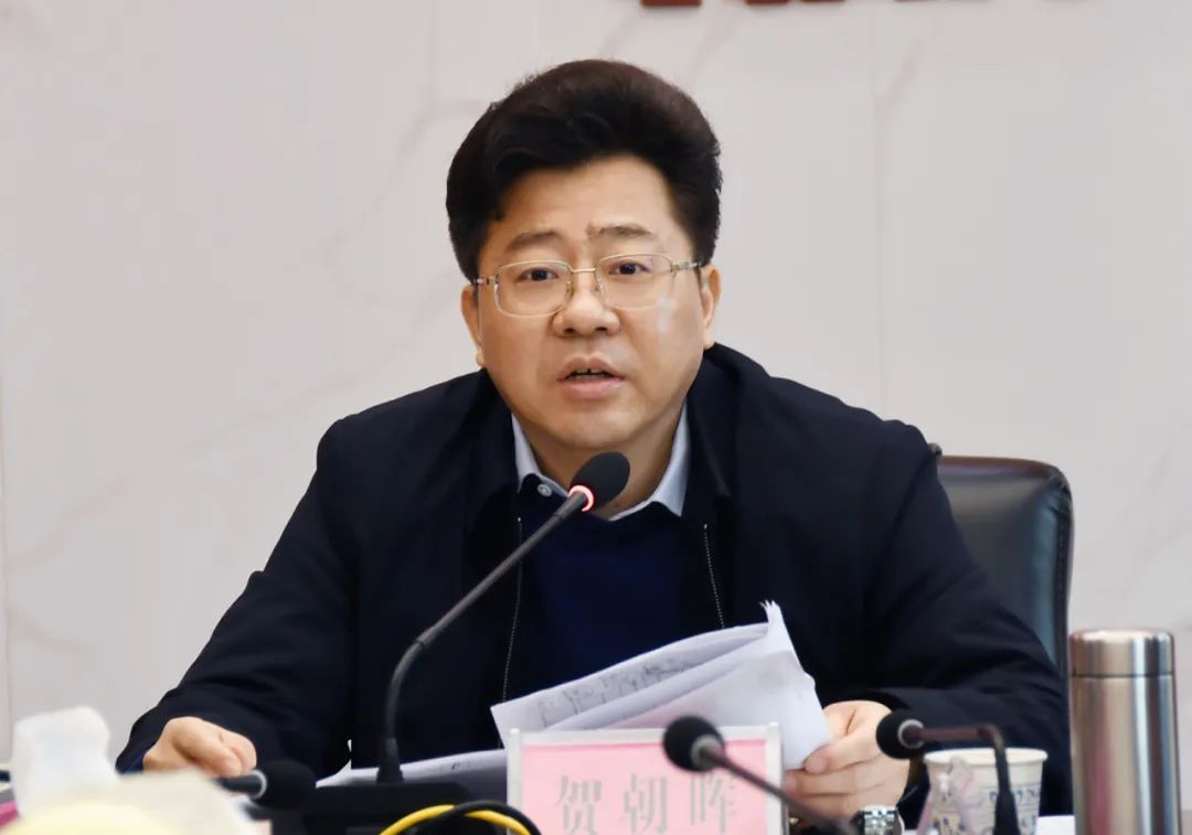 力争实现“开门红”,贺朝晖调度重点项目建设工作(图2)