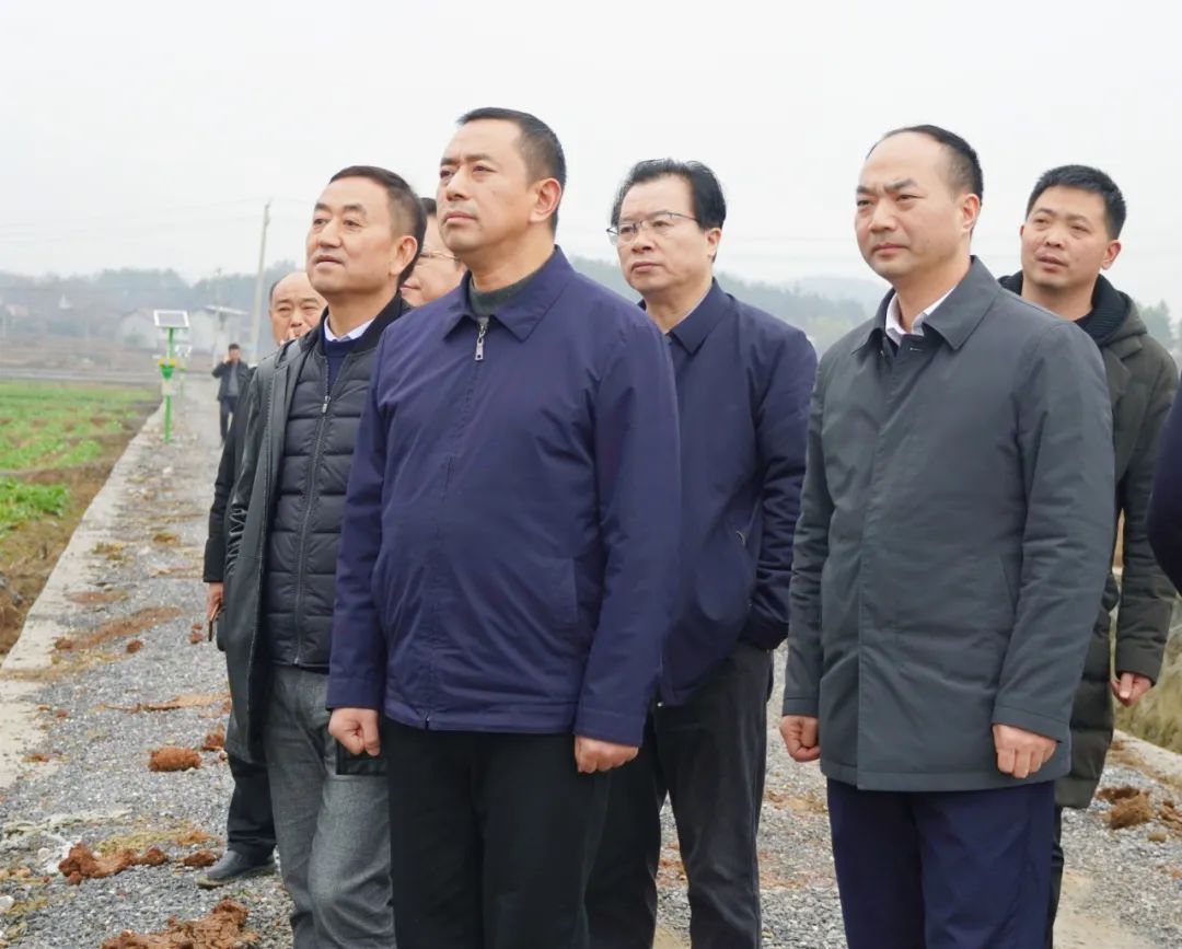 汤立斌调研新邵春耕备耕和乡村振兴工作(图2)