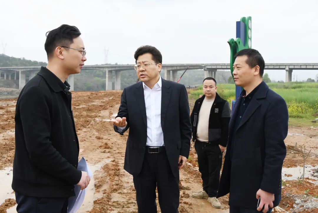 贺朝晖检查督导违规用地整治工作(图2)