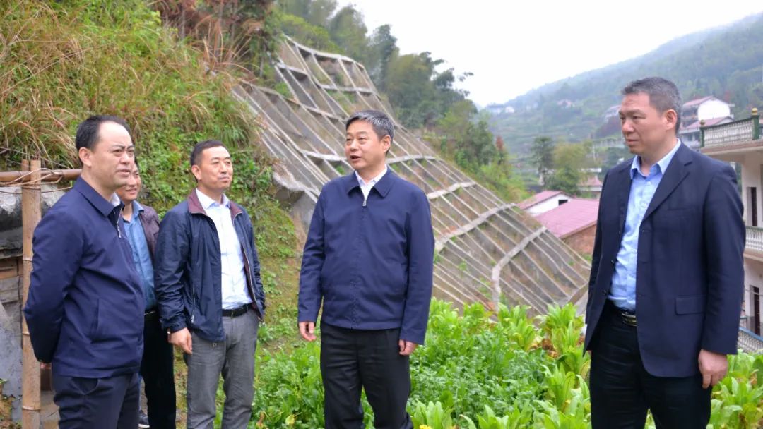 严华在新邵县督导检查防汛备汛工作(图2)