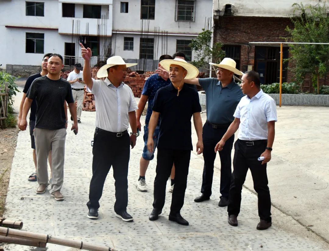 陈历贤调研督导农村人居环境整治暨美丽乡村建设工作(图2)