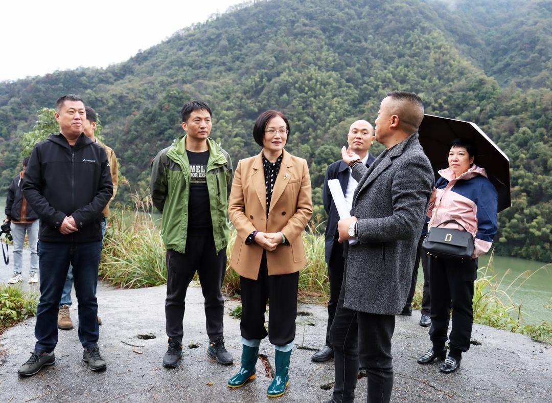 黄海蓉到大新镇、坪上镇调研产业发展(图1)