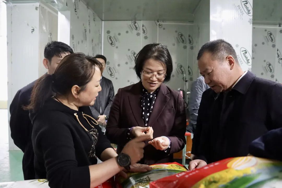 黄海蓉赴乡镇调研农业产业发展(图1)