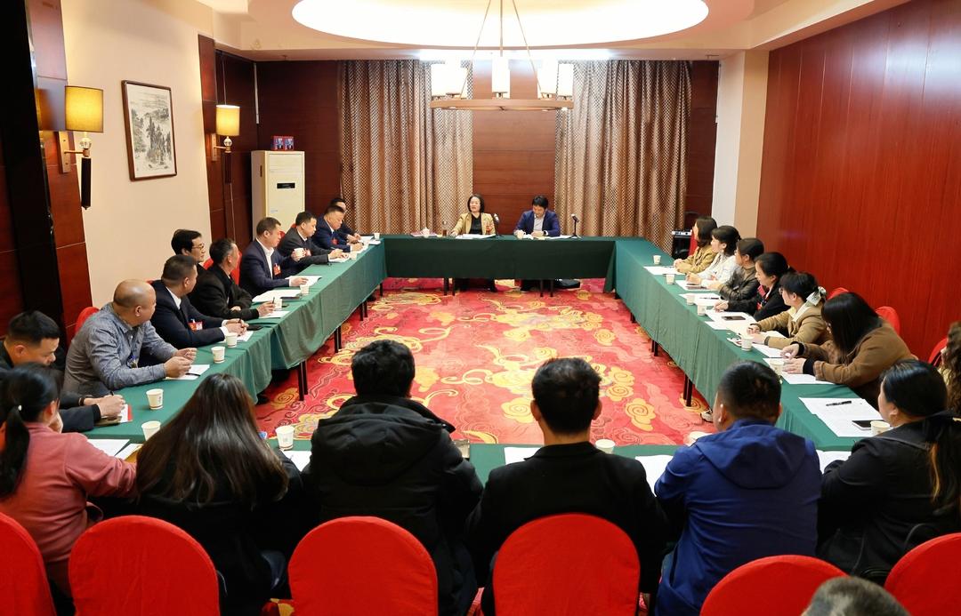 黄海蓉参加新邵县第十八届人民代表大会第五次会议代表团讨论(图1)