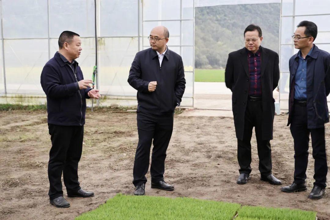 尚生龙调研新邵县职业教育、春耕生产、和美乡村建设等工作(图1)