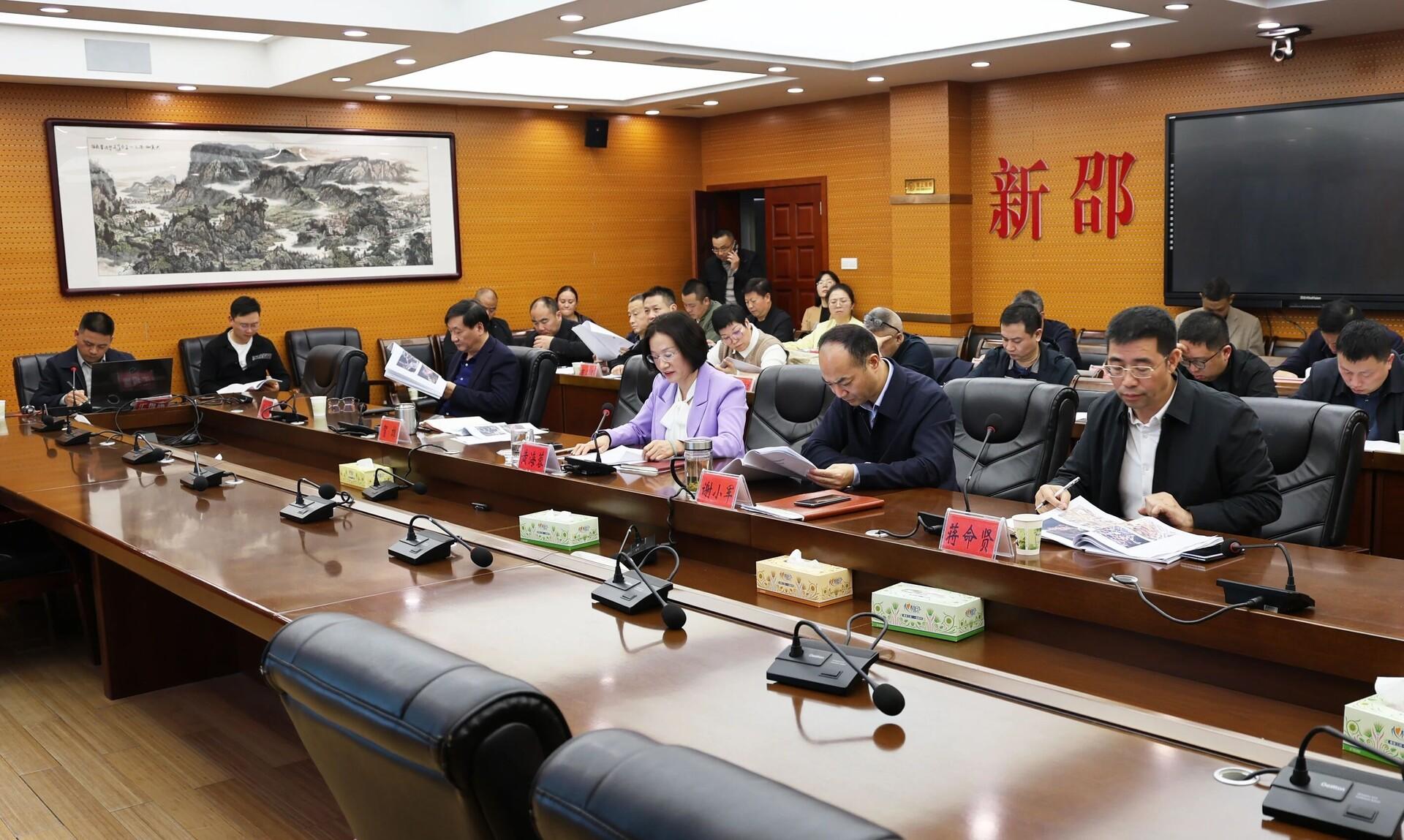 新邵县国土空间规划委员会召开2025年第3次会议(图1)