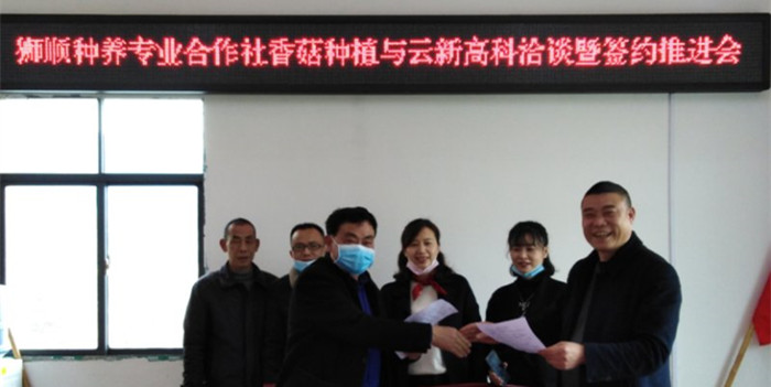 新邵县迎光乡：抓好产业帮扶，持续巩固脱贫成果(图1)