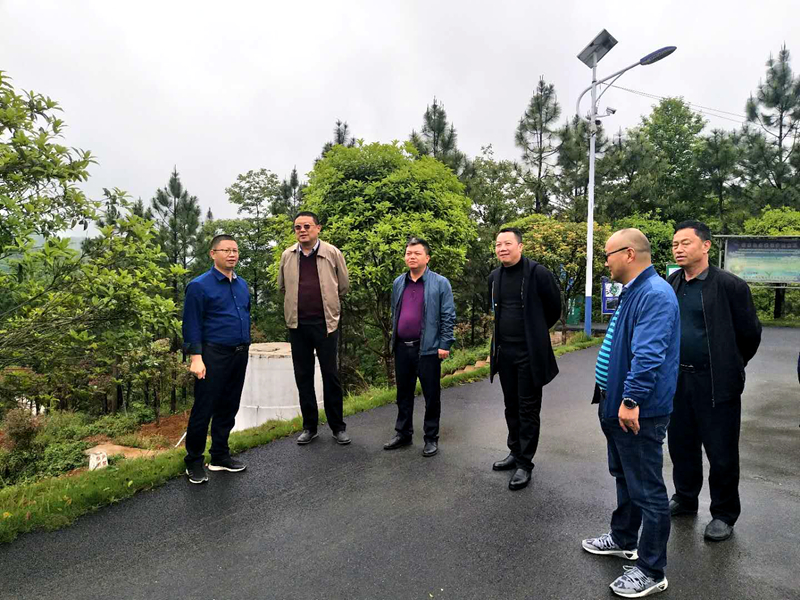 省生态环境厅领导考察坪上镇水源保护工作(图1)