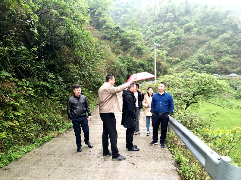 省生态环境厅领导考察坪上镇水源保护工作(图2)