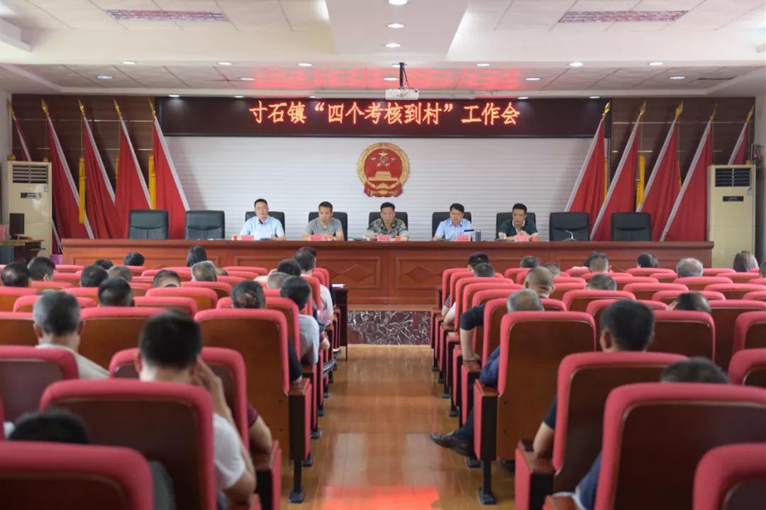 李金军指导寸石镇相关工作(图1)