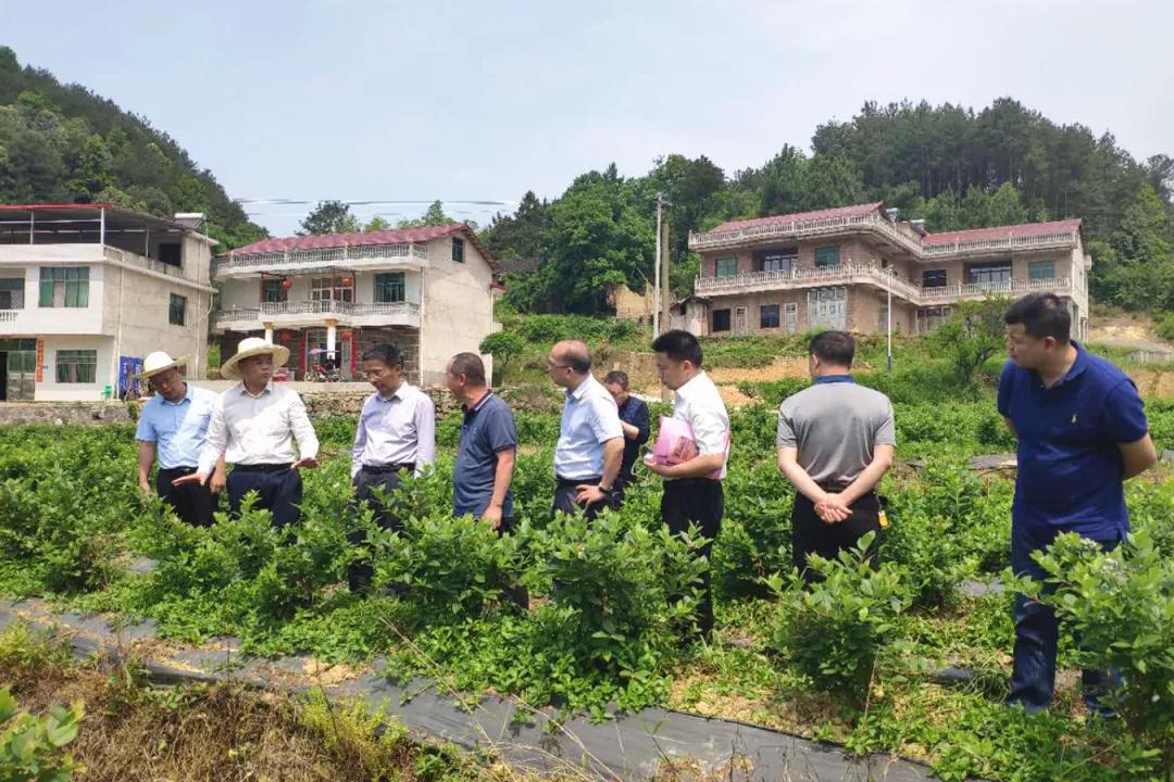 省科协调研潭府乡科技试点项目建设(图1)