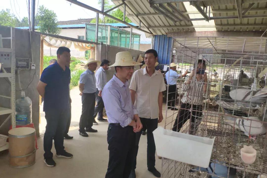 省科协调研潭府乡科技试点项目建设(图2)