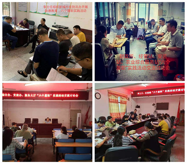 坪上镇以调研备选举，纵深推进“六个履职”实践活动(图2)