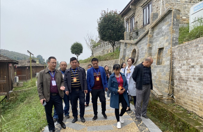 新邵县寸石镇：人大政协调研乡村旅游(图1)