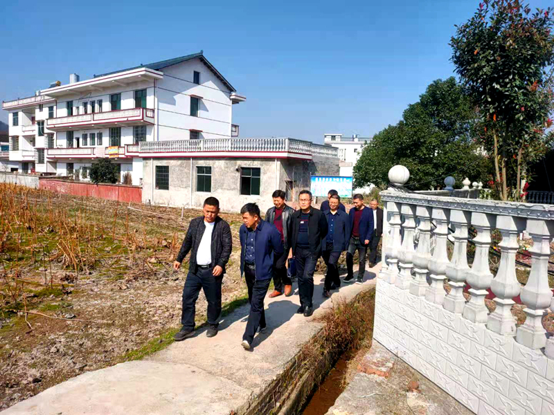 邵阳市政法委到坪上督导检查平安建设及社会治理现代化工作(图1)