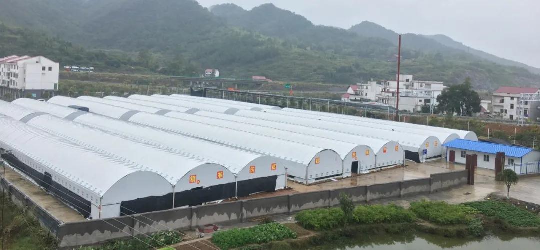全国精神文明建设表彰大会举行，新邵寸石镇南岳村受到表彰(图4)
