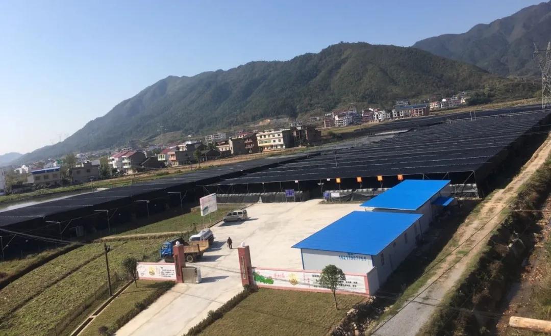全国精神文明建设表彰大会举行，新邵寸石镇南岳村受到表彰(图3)