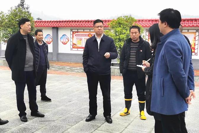 杨韶辉指导龙溪铺镇当前工作(图1)
