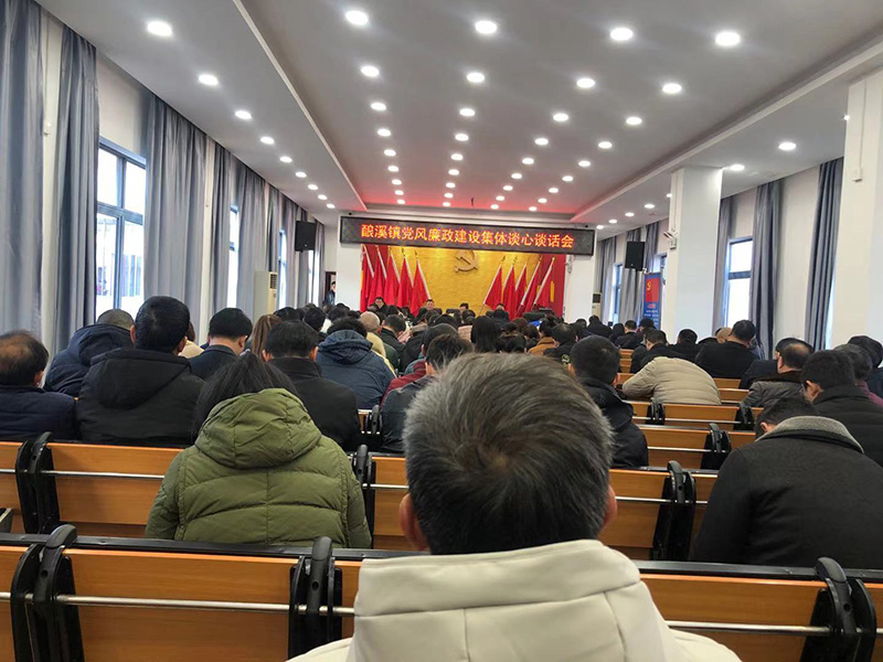 新邵县酿溪镇召开村级支委党风廉政谈心谈话会(图1)