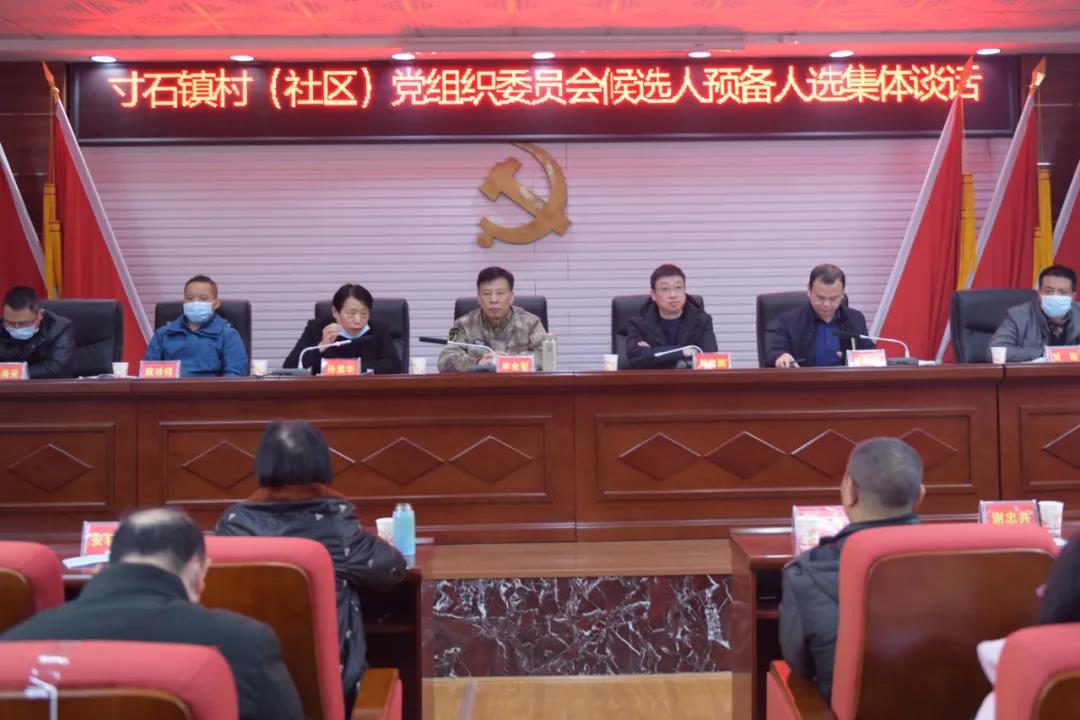 李金军指导寸石镇村级组织换届选举工作(图1)