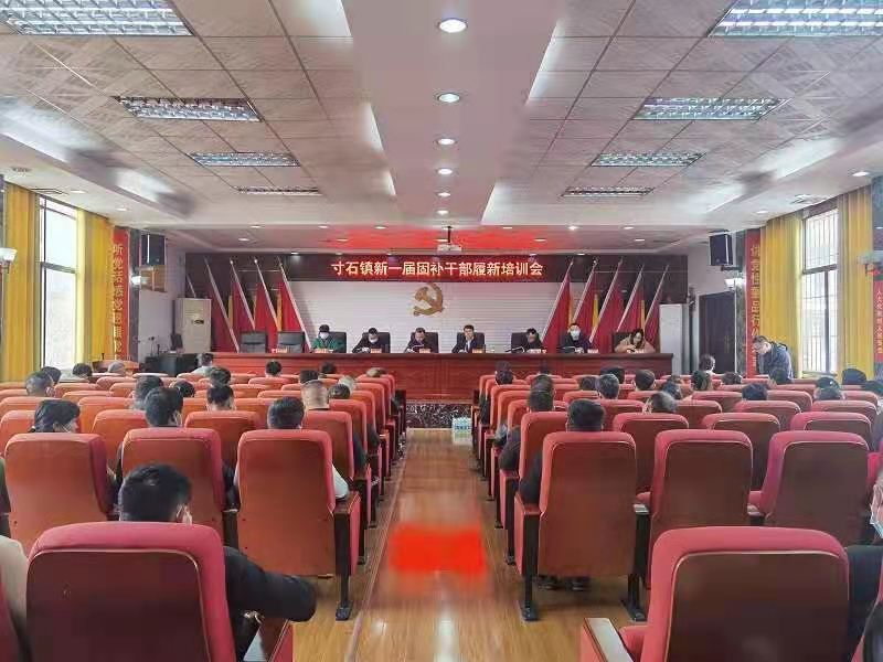 新邵县寸石镇召开新一届村（社区）固补干部业务培训会(图1)