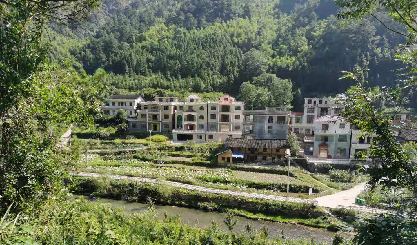 新邵龙溪铺镇召开人居环境卫生整治现场观摩交流会(图1)