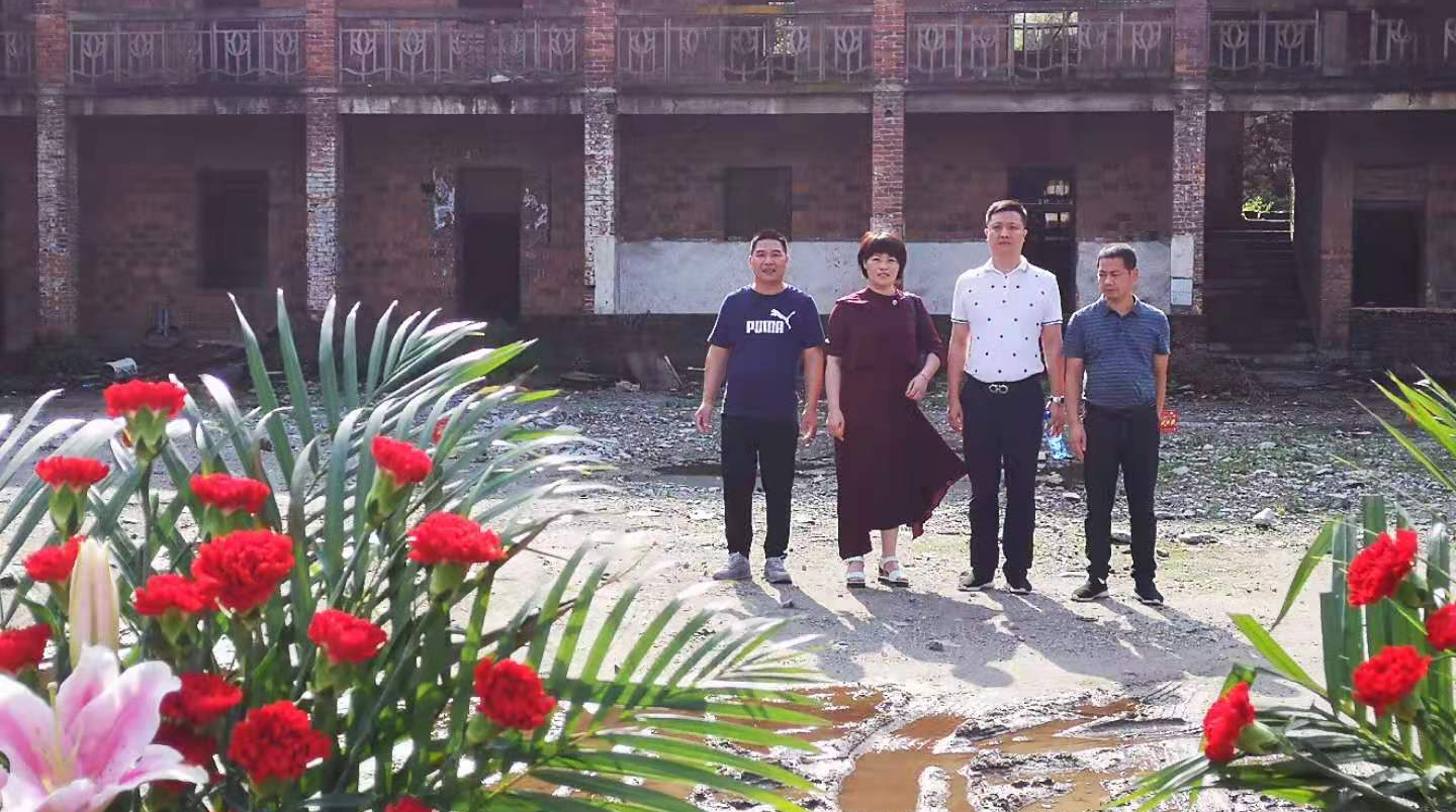 新邵县龙溪铺镇：以实绩实效助推经济高质量发展(图1)
