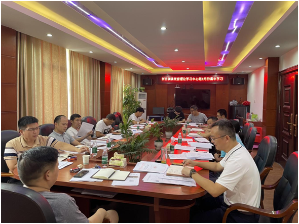 新田铺镇党委理论学习中心组开展8月中心组学习(图1)
