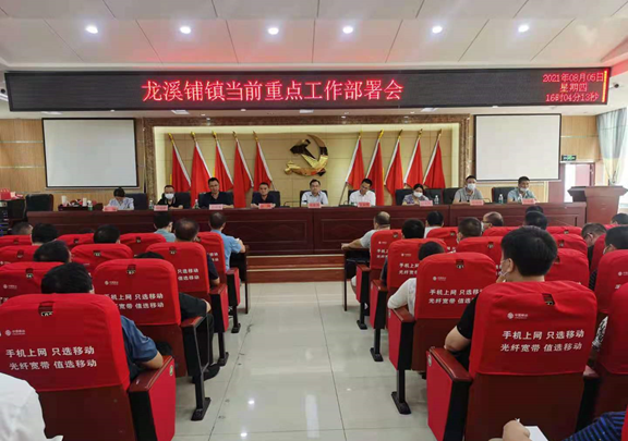 县委副书记张世杰督导龙溪铺镇当前重点工作(图1)