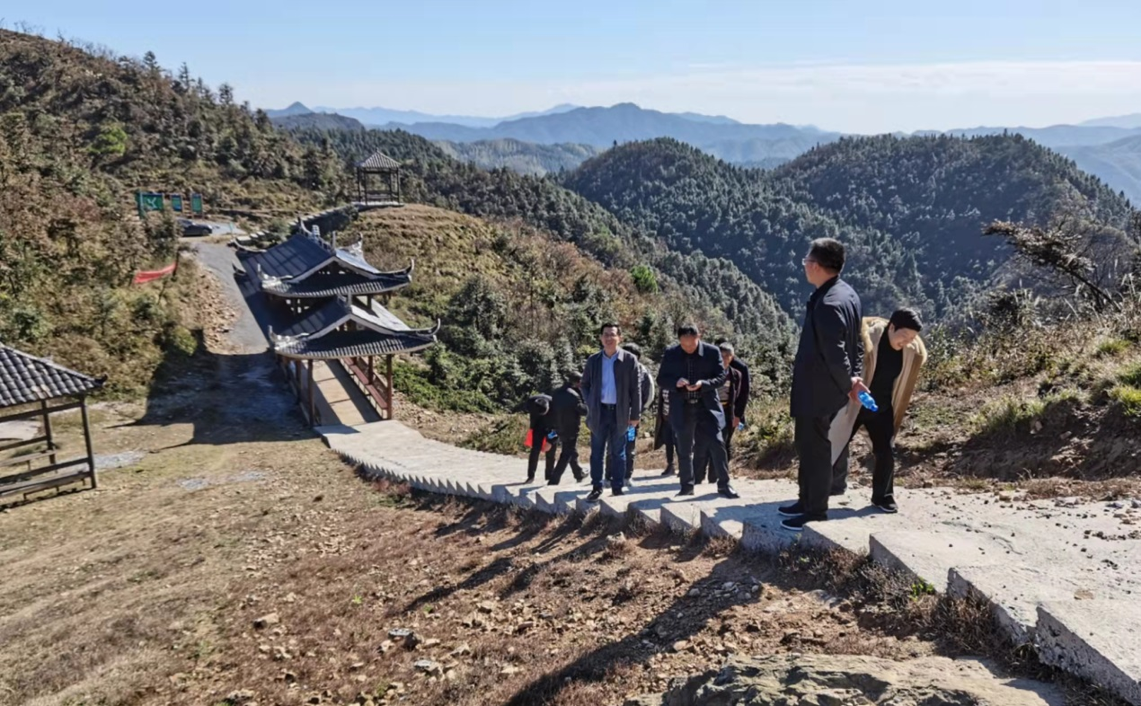 新邵县旅游局调研在龙溪铺镇 “千年鸟道”景点建设(图1)
