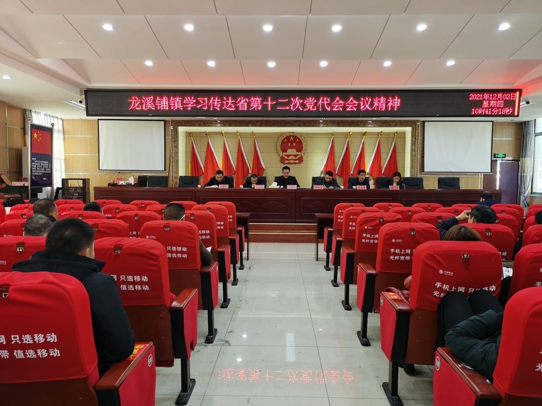 新邵县龙溪铺镇学习传达省第十二次党代会精神(图1)
